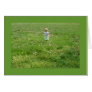 Babe in Field Note Card / Greeting Card