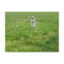 Babe in Field Postcards