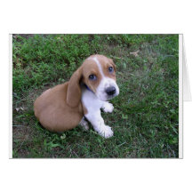 babies (8) greeting card