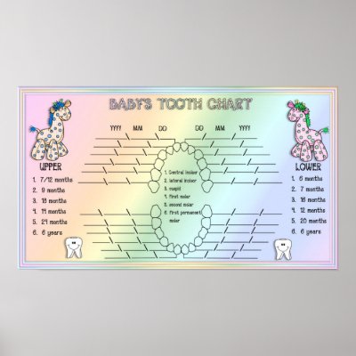 Babies Tooth Chart Posters by SweetRascal