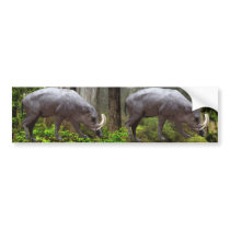 Babirusas Bumper Sticker