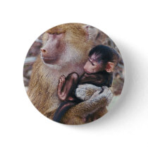 Baboon and Baby Button