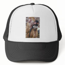 Baboon and Baby Hats