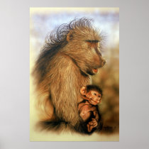 Baboon & Baby Poster