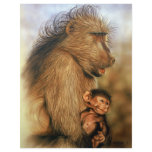 Baboon & Baby Prints Full Colour Flyer