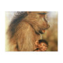 Baboon & Baby Prints Postcards