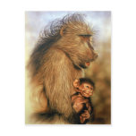 Baboon & Baby Prints Postcards