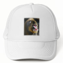Baboon Baseball Cap Hats