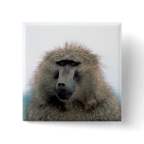 Baboon Button