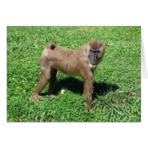 Baboon Card