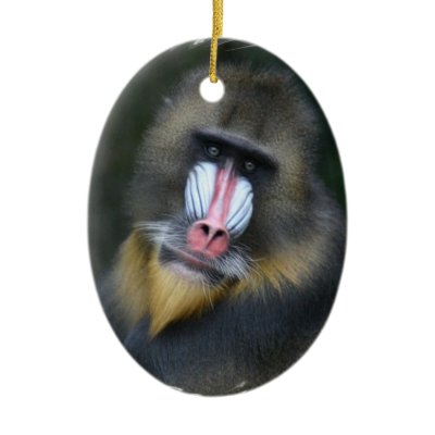 Baboon Face Ornament by WildlifeAnimals
