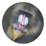 Baboon Face Sticker