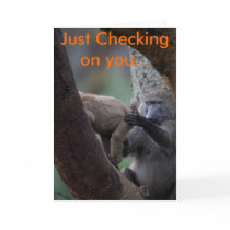 Baboon Inspection, Just Checking on you... Card