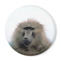 Baboon Magnet