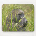 Baboon Mouse Pads