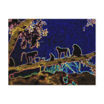 Baboon on Tree from Junglewalk,com Postcard
