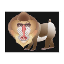 Baboon Postcards