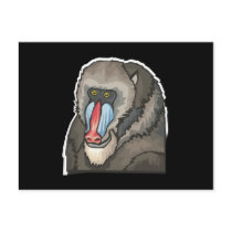 baboon postcards