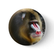 Baboon Round Button