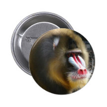 Baboon Round Button