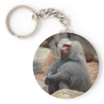 Baboon Sitting