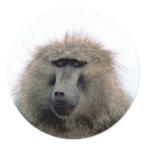 Baboon Stickers