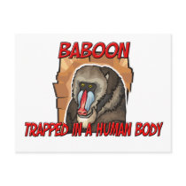 Baboon trapped in a human body