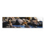 Baboons Crossing The River Bumper Sticker