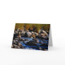 Baboons Crossing The River Cards