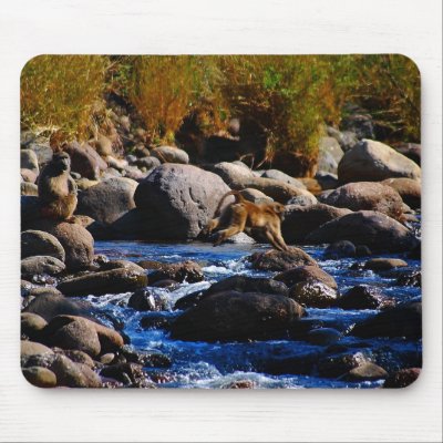 Baboons Crossing The River Mouse Pad by TheScenicRoute