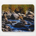 Baboons Crossing The River mousepads