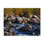 Baboons Crossing The River Post Cards