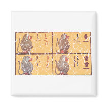 baboons magnet