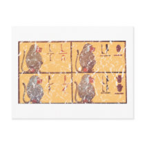 baboons postcard