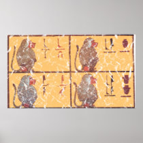 baboons print