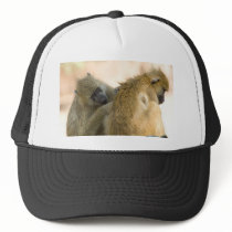 Baboons South Luwanga Mesh Hat