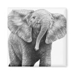 Baby African Elephant Magnet