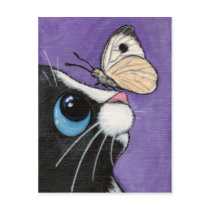 Baby and the Large White - Cat Postcard