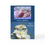 Baby Announcement Cards Spring New Baby Photos