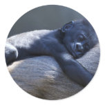 Baby Ape & Momma stickers