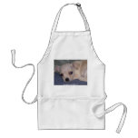 Baby Apron.