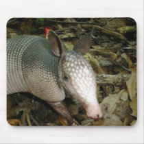 Baby Armadillo Mouse Mats