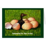 BABY ARRIVAL: ARTWORK of BIRDY, EGGS Card