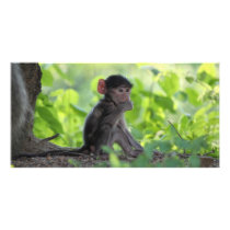 Baby Baboon Personalized Photo Card