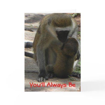 Baby Baboon Valentine Cards by CaroleArt