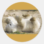 baby bear stickers