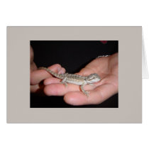 Baby Bearded Dragon Card