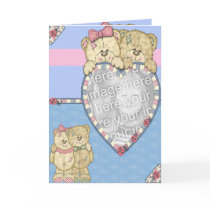 Baby Bears