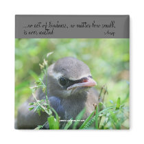 Baby Bird Inspirational Nature Photo Magnet