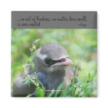 Baby Bird Inspirational Nature Photo Magnet